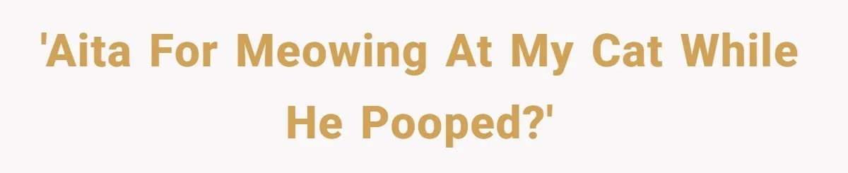 'AITA for meowing at my cat while he pooped?'