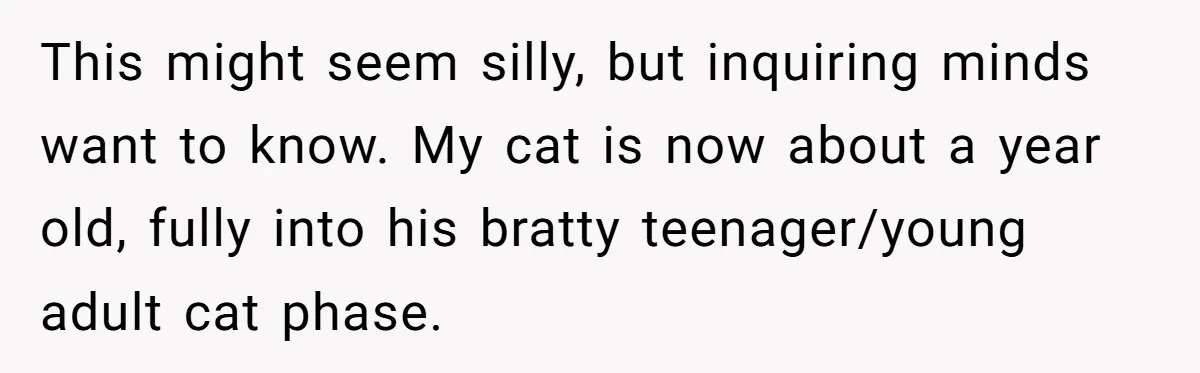 This might seem silly, but inquiring minds want to know. My cat is now about a year old, fully into his bratty teenager/young adult cat phase.