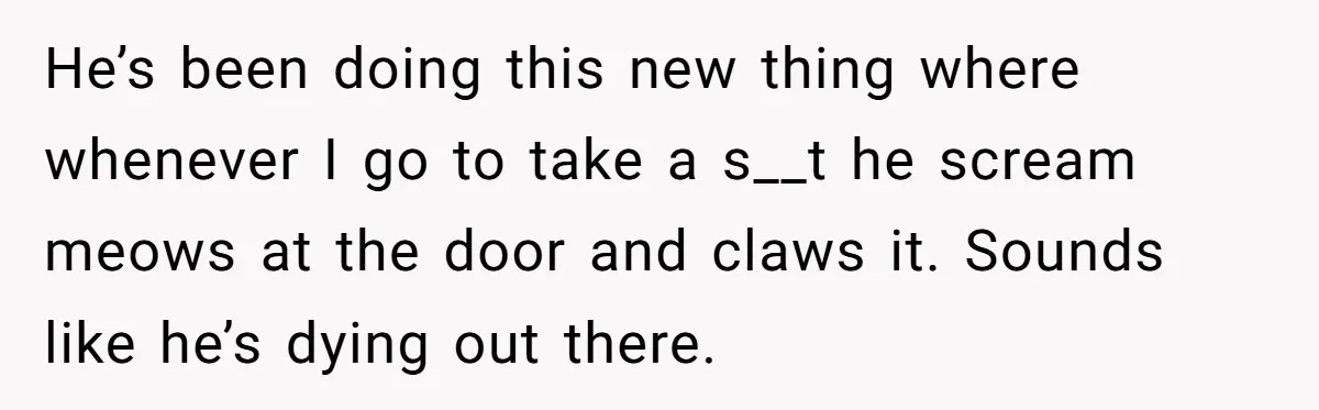 He’s been doing this new thing where whenever I go to take a s__t he scream meows at the door and claws it. Sounds like he’s dying out there.
