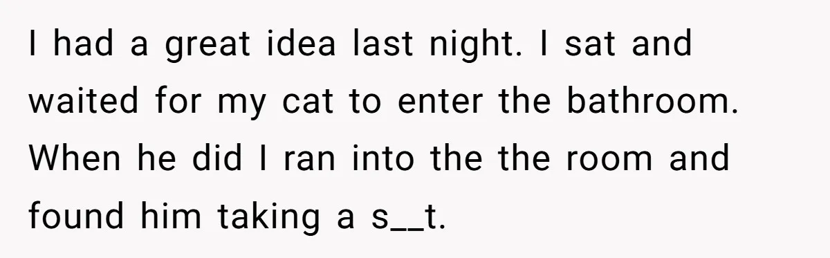 I had a great idea last night. I sat and waited for my cat to enter the bathroom. When he did I ran into the the room and found him...