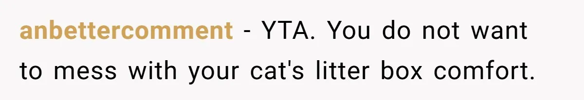 anbettercomment − YTA. You do not want to mess with your cat's litter box comfort.
