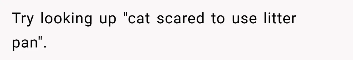 Try looking up "cat scared to use litter pan".