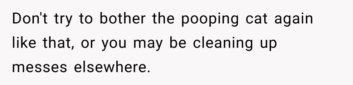 Don't try to bother the pooping cat again like that, or you may be cleaning up messes elsewhere.