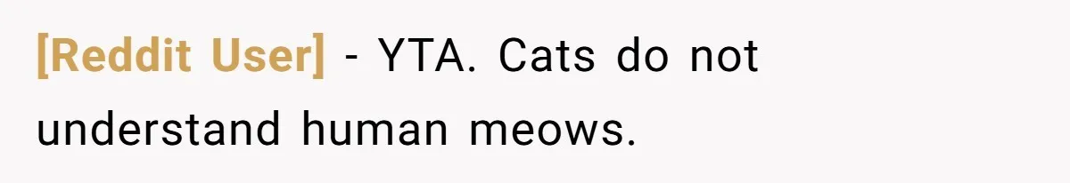 [Reddit User] − YTA. Cats do not understand human meows.