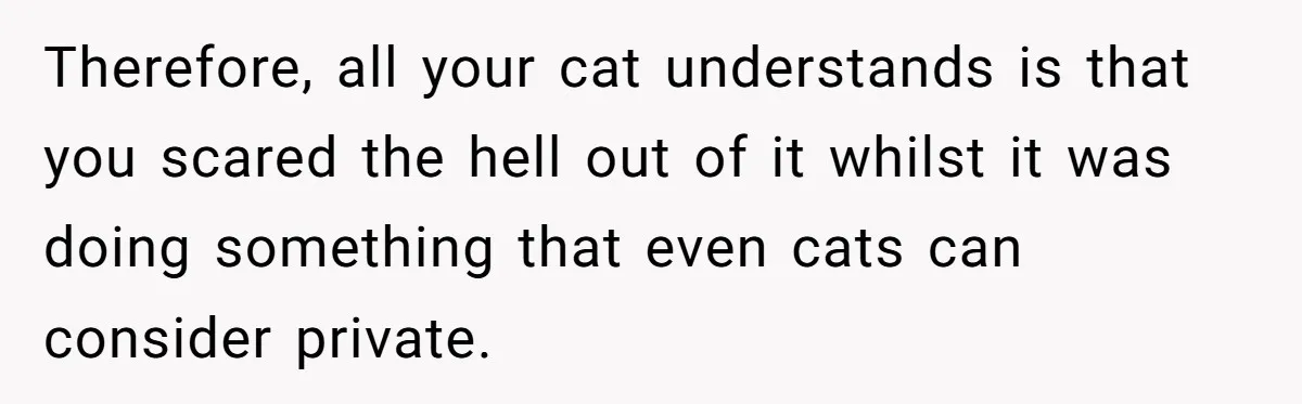 Therefore, all your cat understands is that you scared the hell out of it whilst it was doing something that even cats can consider private.