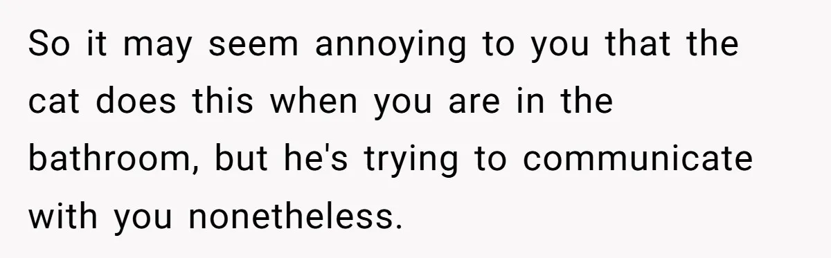 So it may seem annoying to you that the cat does this when you are in the bathroom, but he's trying to communicate with you nonetheless.