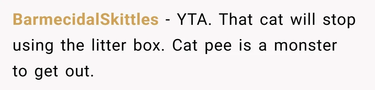 BarmecidalSkittles − YTA. That cat will stop using the litter box. Cat pee is a monster to get out.