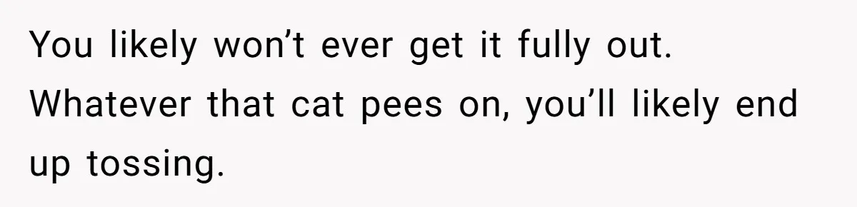 You likely won’t ever get it fully out. Whatever that cat pees on, you’ll likely end up tossing.