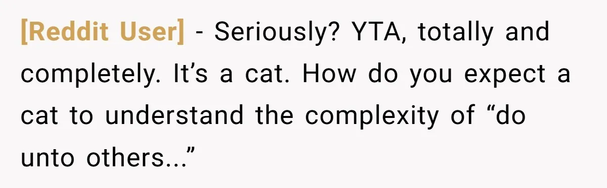 [Reddit User] − Seriously? YTA, totally and completely. It’s a cat. How do you expect a cat to understand the complexity of “do unto others...”