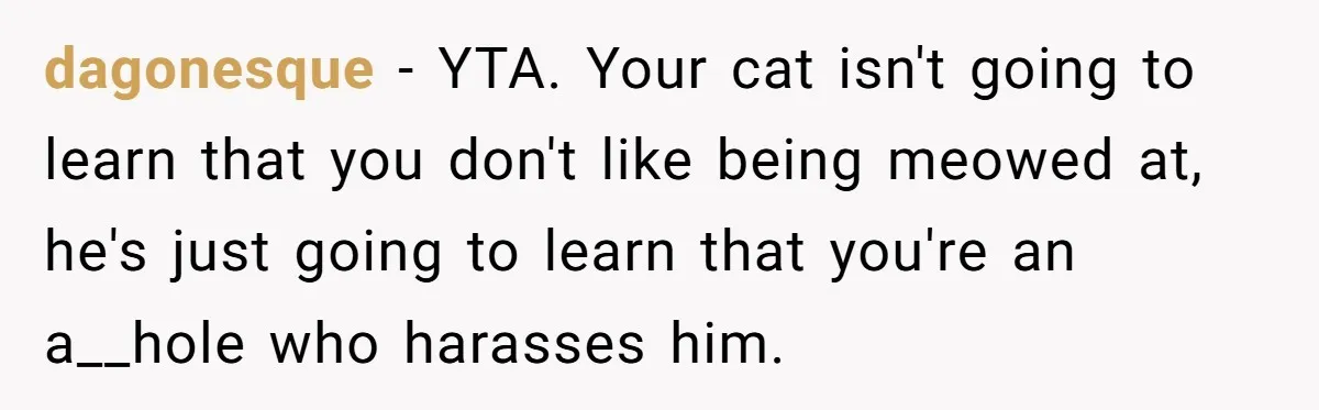 dagonesque − YTA. Your cat isn't going to learn that you don't like being meowed at, he's just going to learn that you're an a__hole who harasses him.