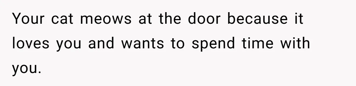 Your cat meows at the door because it loves you and wants to spend time with you.