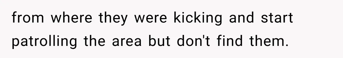 from where they were kicking and start patrolling the area but don't find them.