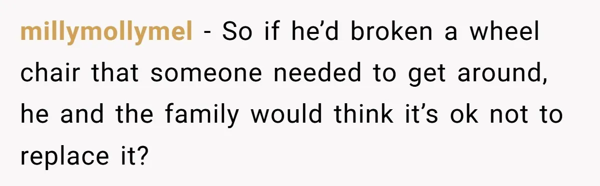 millymollymel − So if he’d broken a wheel chair that someone needed to get around, he and the family would think it’s ok not to replace it?