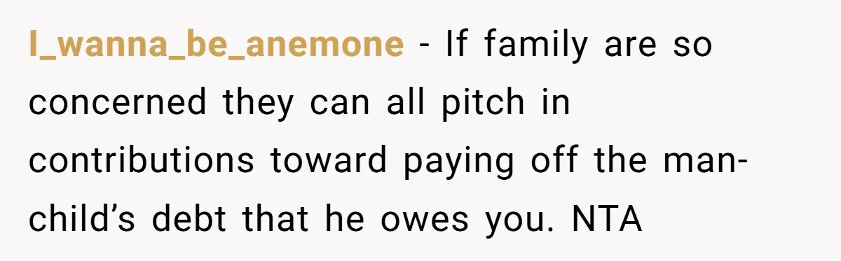 I_wanna_be_anemone − If family are so concerned they can all pitch in contributions toward paying off the man-child’s debt that he owes you. NTA