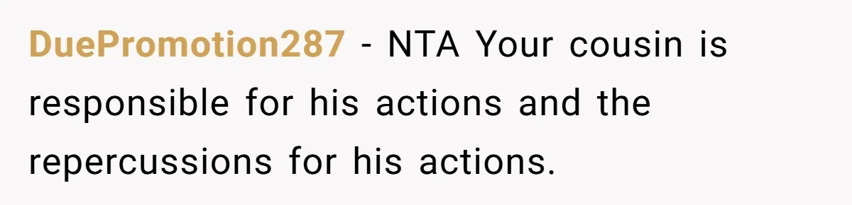 DuePromotion287 − NTA Your cousin is responsible for his actions and the repercussions for his actions.