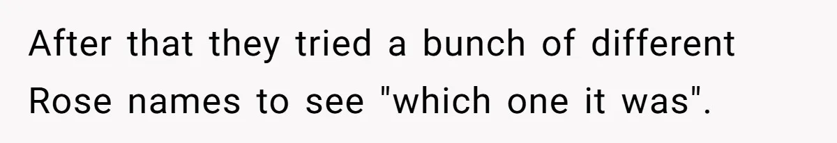 After that they tried a bunch of different Rose names to see "which one it was".