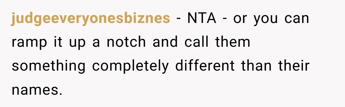 judgeeveryonesbiznes − NTA - or you can ramp it up a notch and call them something completely different than their names.