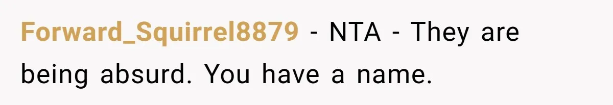 Forward_Squirrel8879 − NTA - They are being absurd. You have a name.