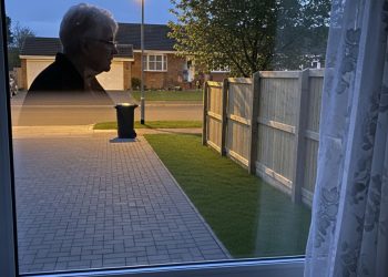 "Stay Away From My Fence!": Neighbor Dispute Escalates Over a Leaf Blower “Stay Away From My Fence!”: Neighbor Dispute Escalates Over a Leaf Blower