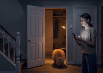 Cruel Roommate Hides Cat All Night While Owner Panics, Gets Instant Karma When Wi-Fi Is Cut