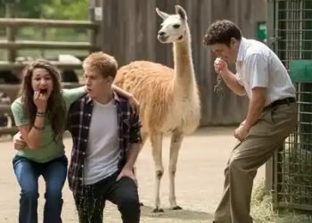 Teenagers Taunt a Llama, Get Hit With Reality - Was the Worker Wrong to Let It Happen? Teenagers Taunt a Llama, Get Hit With Reality – Was the Worker Wrong to Let It Happen?