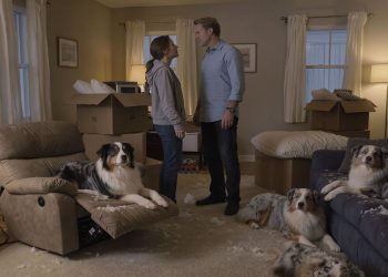 Husband Calls Wife ‘Difficult’ After She Refuses To Let Dogs Ruin Her Only Cherished Recliner