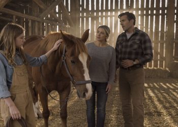 Stepbrother’s Careless Mistake Unalives Beloved Family Horse, So Parents Decide To Rehome His Own