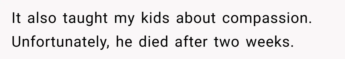 It also taught my kids about compassion. Unfortunately, he died after two weeks.