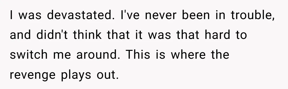 I was devastated. I've never been in trouble, and didn't think that it was that hard to switch me around. This is where the revenge plays out.