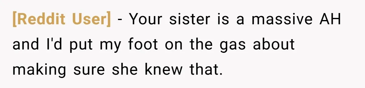[Reddit User] − Your sister is a massive AH and I'd put my foot on the gas about making sure she knew that.