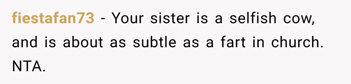 fiestafan73 − Your sister is a selfish cow, and is about as subtle as a fart in church. NTA.