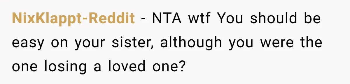 NixKlappt-Reddit − NTA wtf You should be easy on your sister, although you were the one losing a loved one?