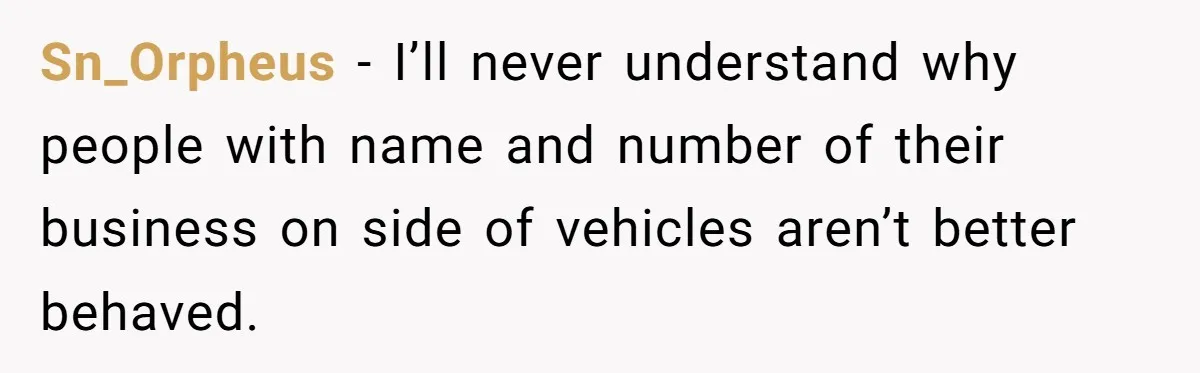 Sn_Orpheus − I’ll never understand why people with name and number of their business on side of vehicles aren’t better behaved.