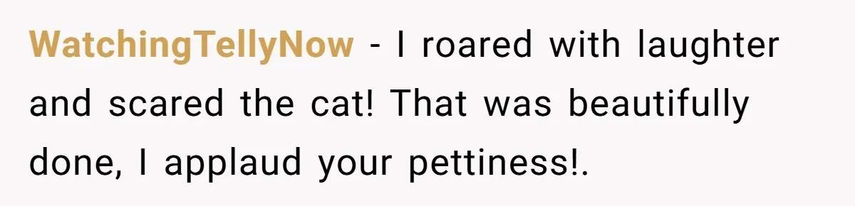 WatchingTellyNow − I roared with laughter and scared the cat! That was beautifully done, I applaud your pettiness!.