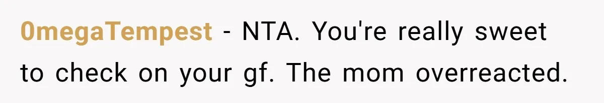 0megaTempest − NTA. You're really sweet to check on your gf. The mom overreacted.