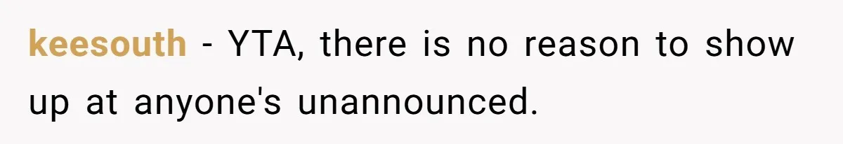keesouth − YTA, there is no reason to show up at anyone's unannounced.
