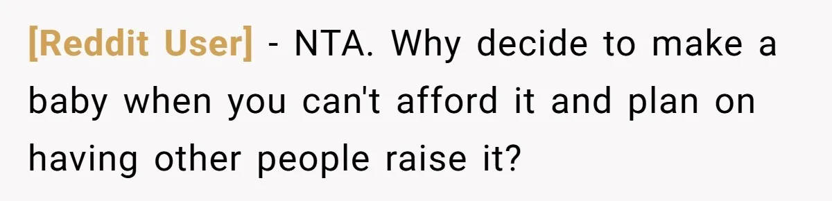 [Reddit User] − NTA. Why decide to make a baby when you can't afford it and plan on having other people raise it?