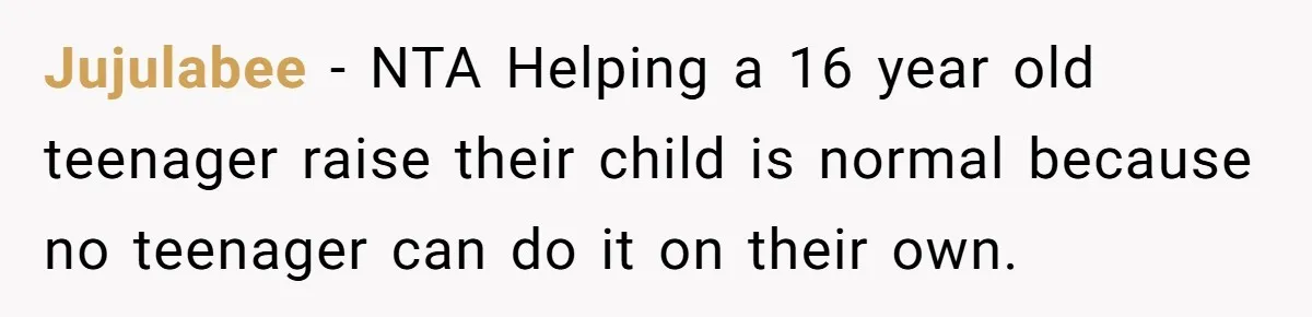 Jujulabee − NTA Helping a 16 year old teenager raise their child is normal because no teenager can do it on their own.