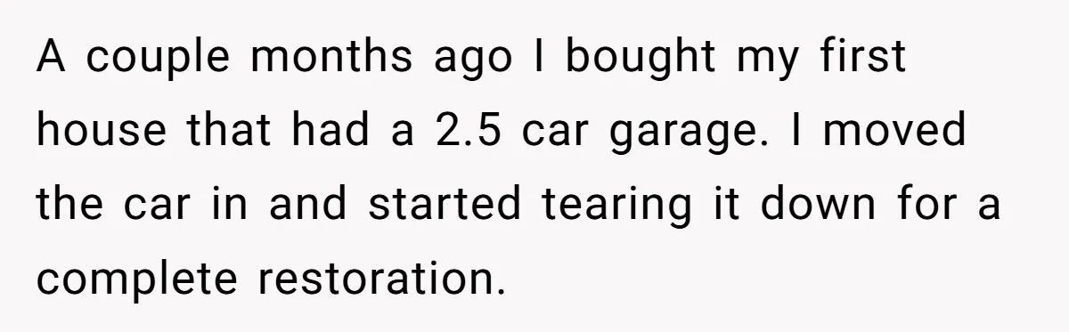 A couple months ago I bought my first house that had a 2.5 car garage. I moved the car in and started tearing it down for a complete restoration.