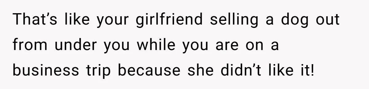 That’s like your girlfriend selling a dog out from under you while you are on a business trip because she didn’t like it!