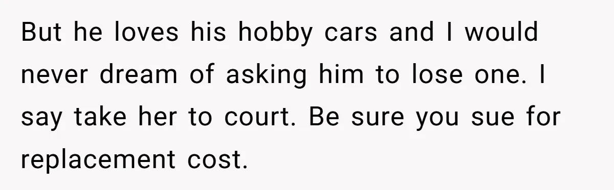 But he loves his hobby cars and I would never dream of asking him to lose one. I say take her to court. Be sure you sue for replacement cost.