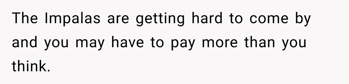 The Impalas are getting hard to come by and you may have to pay more than you think.