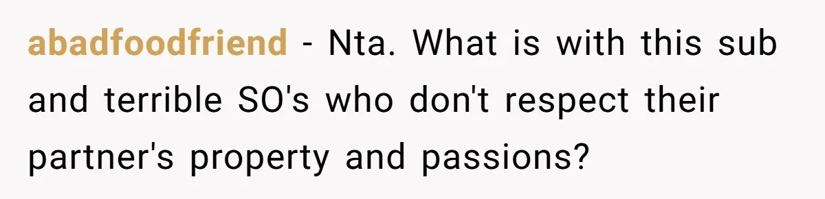 abadfoodfriend − Nta. What is with this sub and terrible SO's who don't respect their partner's property and passions?