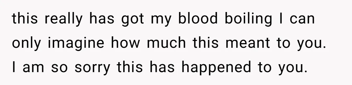 this really has got my blood boiling I can only imagine how much this meant to you. I am so sorry this has happened to you.