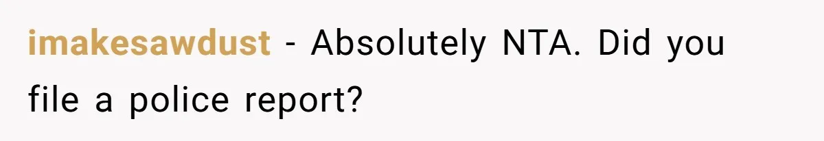 imakesawdust − Absolutely NTA. Did you file a police report?