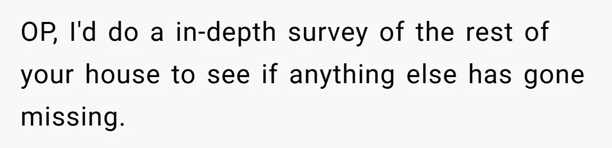 OP, I'd do a in-depth survey of the rest of your house to see if anything else has gone missing.