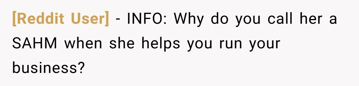 [Reddit User] − INFO: Why do you call her a SAHM when she helps you run your business?