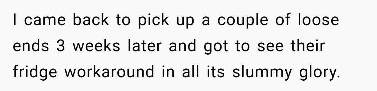 I came back to pick up a couple of loose ends 3 weeks later and got to see their fridge workaround in all its slummy glory.