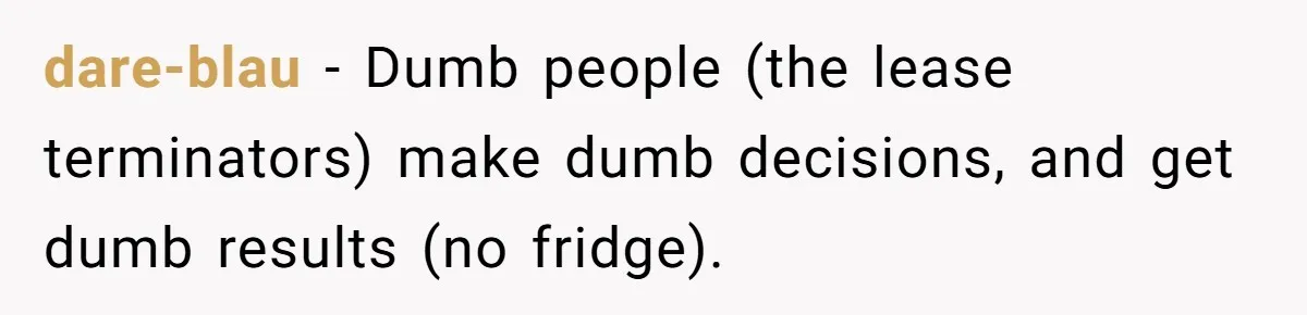 dare-blau − Dumb people (the lease terminators) make dumb decisions, and get dumb results (no fridge).
