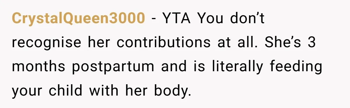 CrystalQueen3000 − YTA You don’t recognise her contributions at all. She’s 3 months postpartum and is literally feeding your child with her body.